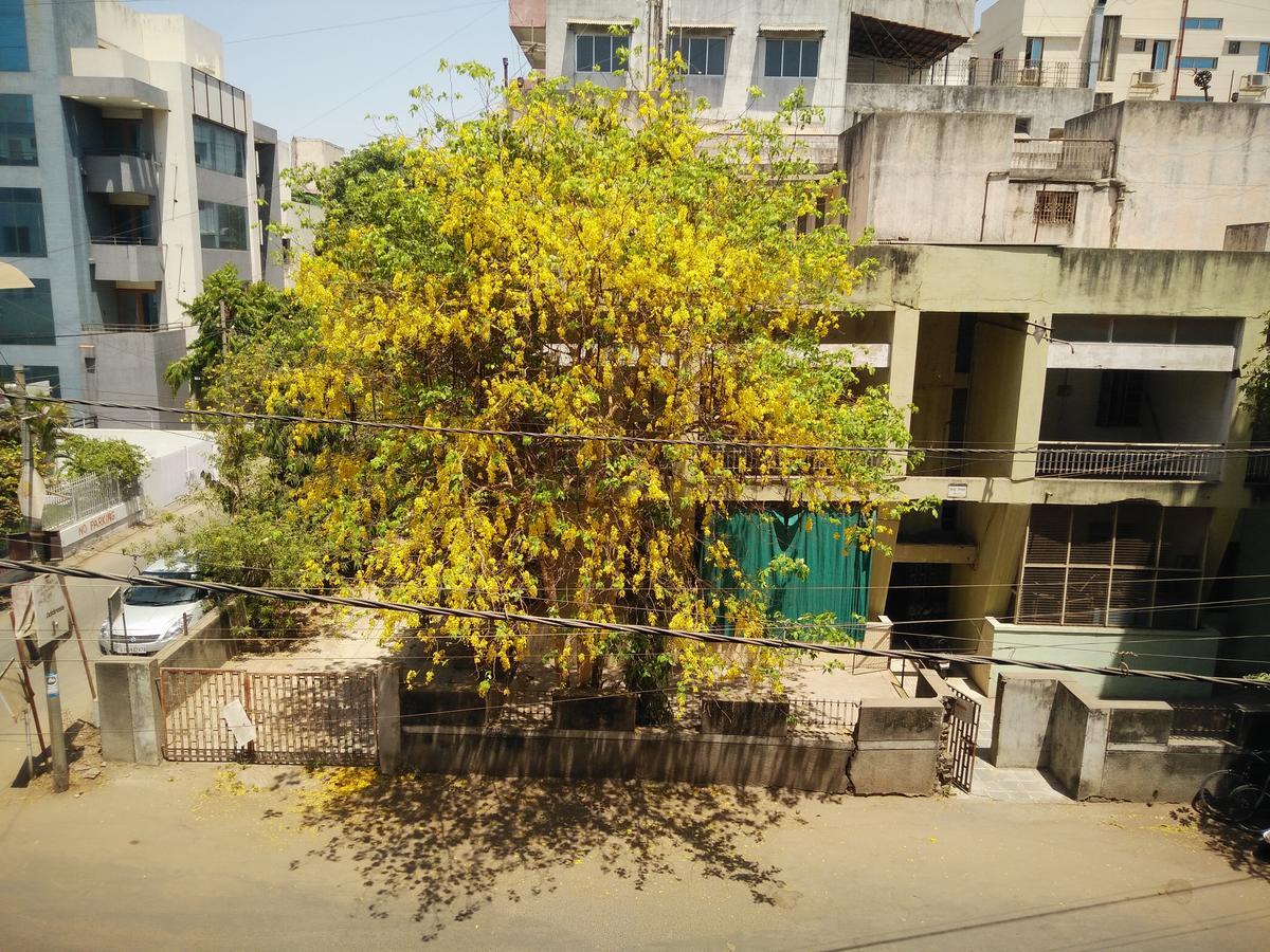 Hotel Grg Vadodara Luaran gambar